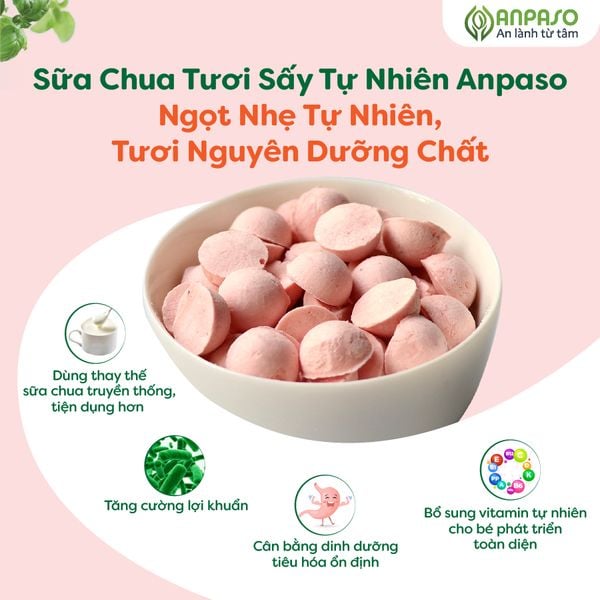 Sữa chua tươi sấy tự nhiên cho bé Anpaso