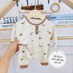 Bộ thun tăm dài tay chui cổ cho bé (12-48M)