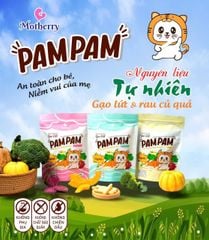 Bánh ăn dặm cho bé Pam Pam Organic