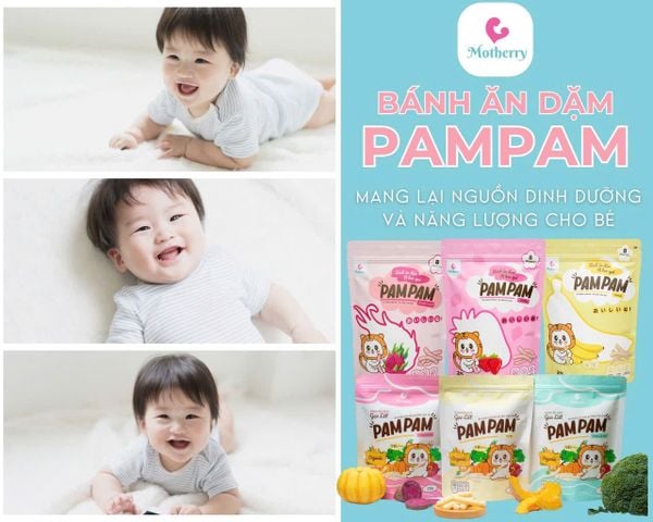 Bánh ăn dặm cho bé Pam Pam Organic