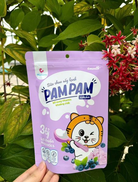 Sữa chua khô sấy lạnh cho bé Pam Pam (6M+)