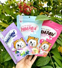 Sữa chua khô sấy lạnh cho bé Pam Pam (6M+)