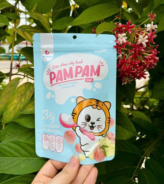 Sữa chua khô sấy lạnh cho bé Pam Pam (6M+)