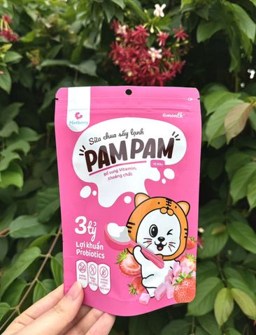Sữa chua khô sấy lạnh cho bé Pam Pam (6M+)