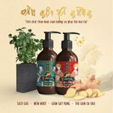  [FREESHIP] COMBO DẦU GỘI XẢ THẢO DƯỢC GỪNG  - BÁCH THẢO TẬP 