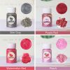 Màu Nhũ Dạng Bột Ánh Kim Làm Handmade - Hũ 20ml