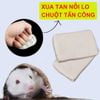 Keo Xi Măng Dẻo Bịt Tường, Xi Măng Dẻo Bịt Lỗ Điều Hòa, Đường Ống Chịu Nhiệt Chống Thấm Nước - 20g