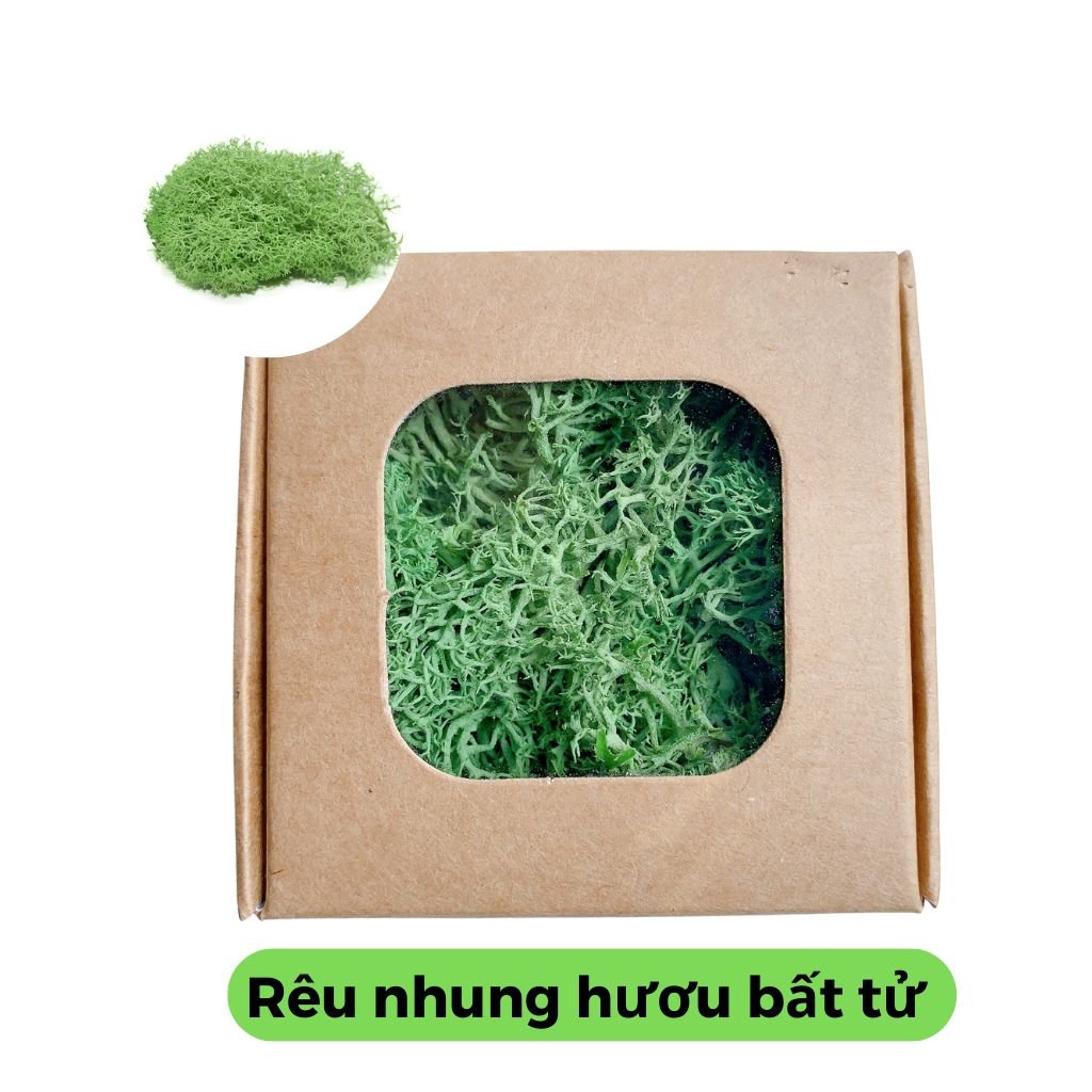 Rêu nhung hươu bất tử , Decor , trang trí, dán tường - 10gr