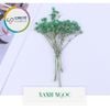 Set Hoa Sao Khô 7 Màu - Nguyên Liệu Dùng Làm Trang Trí- Thủ Công Handmade