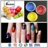 Bột Nhũ Camay Metalic Pha Sơn, Epoxy Resin, Slime, Màu Vẽ Trang Trí, Nail Tạo Hiệu Ứng Ánh Kim