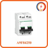 MCB 2P 50A 10kA (IC60H) A9F84250 Schneider 