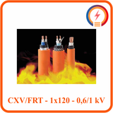  Cáp chậm cháy Cadivi CXV/FRT - 1x120 - 0,6/1 kV 