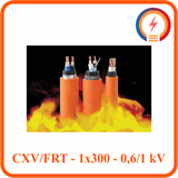  Cáp chậm cháy Cadivi CXV/FRT - 1x300 - 0,6/1 kV 