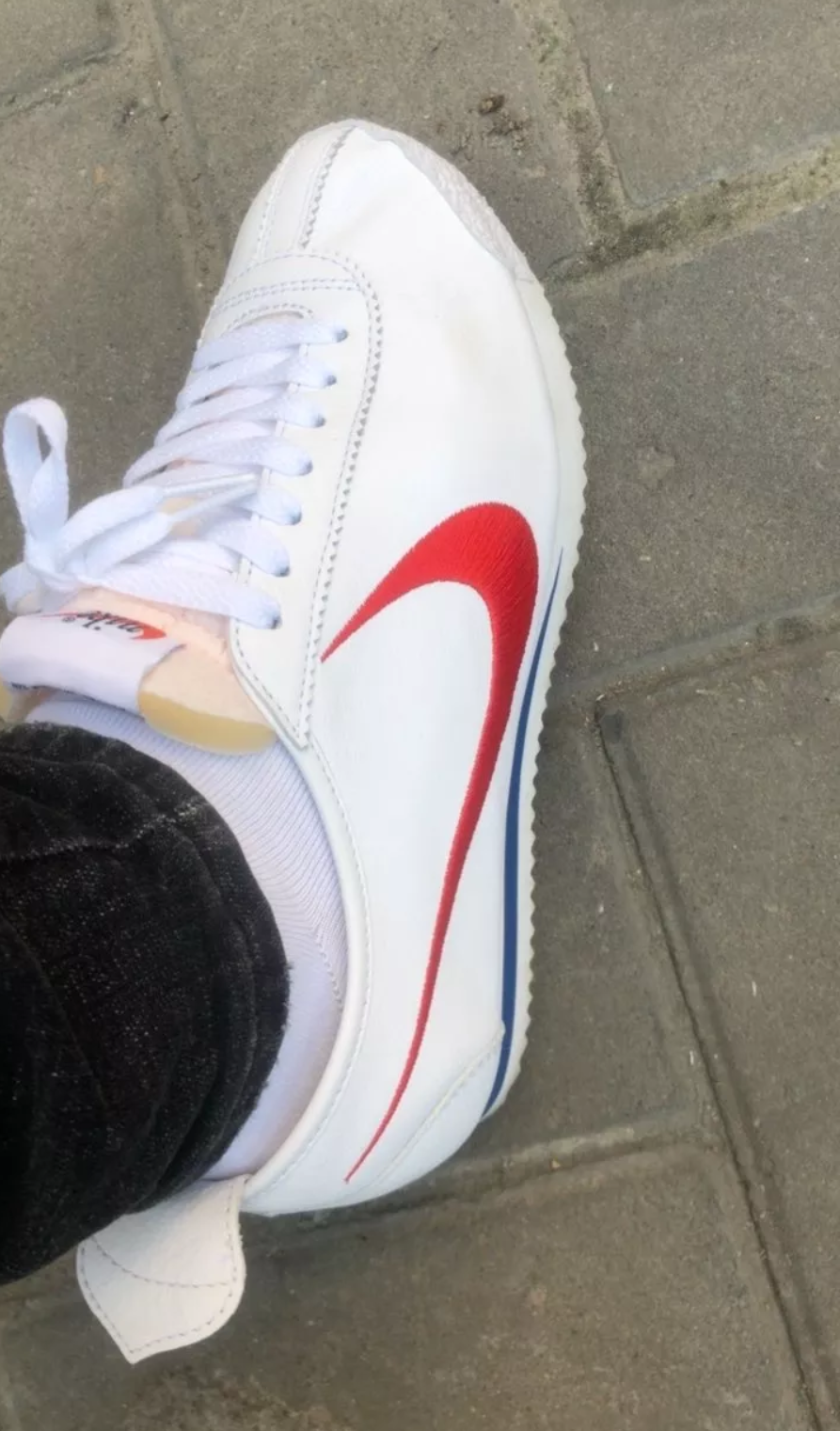 Giày Nike Classic Cortez '72 QS 'Shoe Dog Pack Swoosh' CJ2586100