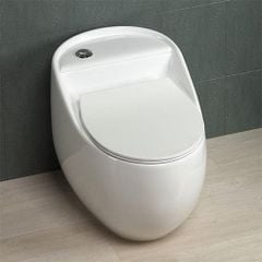 Bệt Trứng Obiste _T22