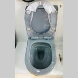 Bệt Liền Khối Ghi Xám Sọc Vàng G7777