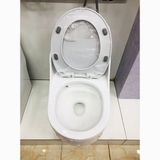 Bệt Trứng Obiste_ 666C