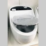 Bệt Trứng Obiste  - T23