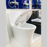 Bệt Liền Khối  Nút Tròn 0B_ B566