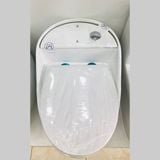 Bệt Trứng Obiste _T22