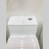 Bệt Liền Khối  B2395
