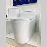Bệt Liền Khối  B2395