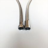 Dây Sen Obiste - DSOB