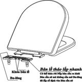 Nắp bồn cầu rơi êm _ NEHA23