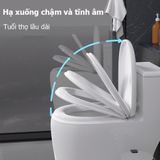 Nắp bồn cầu rơi êm _ NEHA23