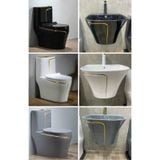 Chậu Lavabo Treo Liền Chân Trằng Viền Vàng CH_TT1