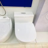 Bệt Liền Khối  Obiste _ B803