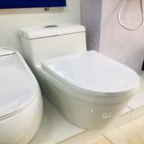 Bệt Liền Khối  Obiste _ B803