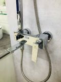 Sen Cây Tắm Đứng OB_9019