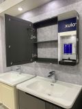 Bộ Tủ Chậu, Gương Đèn Lavavo - TC01