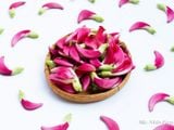  Cây so đũa Thái hoa đỏ A1 