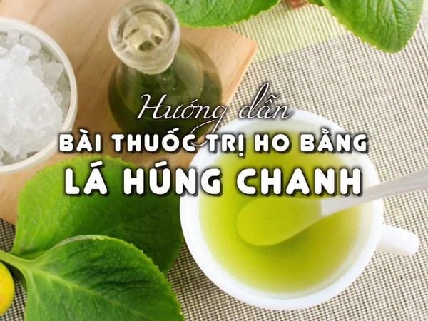  Húng chanh 