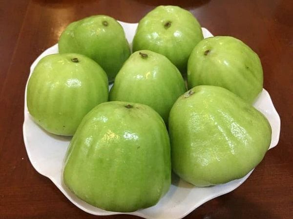  Mận xanh đường 