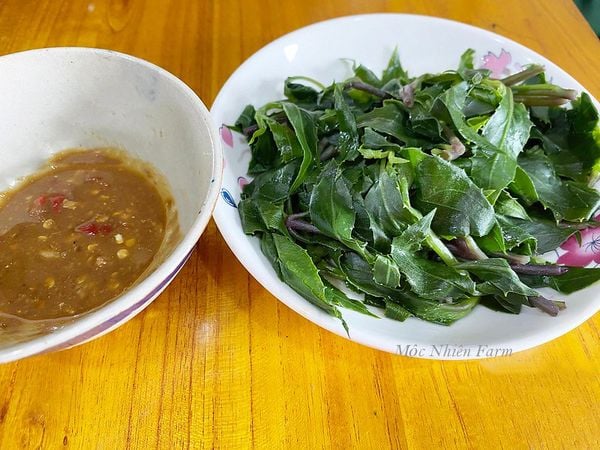  Rau bầu đất tím A1 