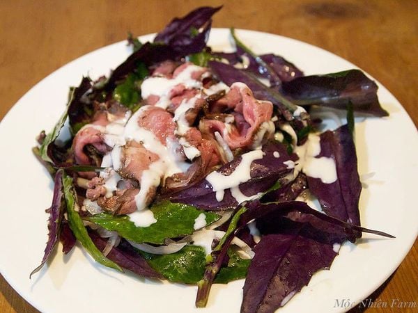  Rau bầu đất Nhật Bản B1 