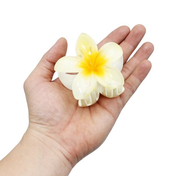 KẸP TÓC HOA SỨ NHỰA JARY HAIR CLIP - HC1 - HC1.0
