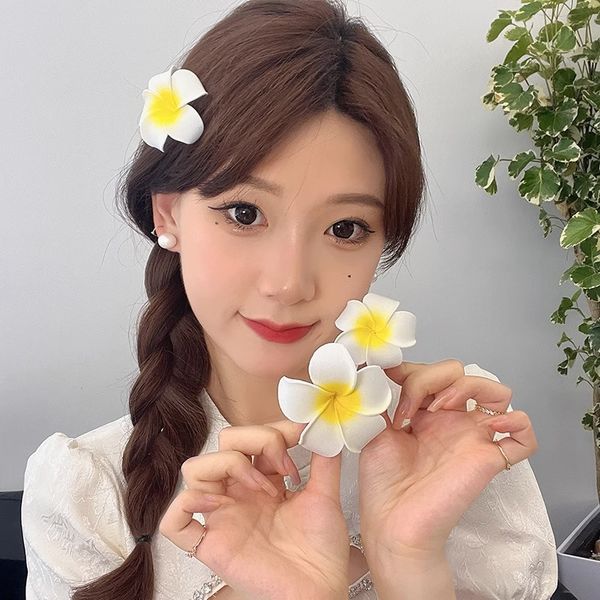 KẸP TÓC HOA SỨ CÁNH XỐP JARY HAIR CLIP - HC2 - HC2.2