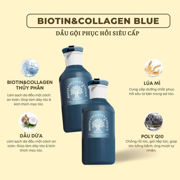 DẦU GỘI XẢ BIOTIN & COLLAGEN ESSENCE 500ML - MẪU MỚI XANH BLUE 2023