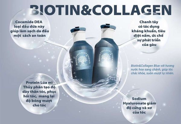 DẦU GỘI XẢ BIOTIN & COLLAGEN ESSENCE 500ML - MẪU MỚI XANH BLUE 2023