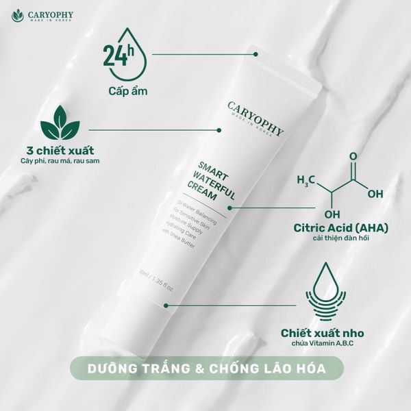 KEM DƯỠNG ẨM, CẤP NƯỚC VÀ HỖ TRỢ PHỤC HỒI CHO DA MỤN CARYOPHY SMART WATERFUL CREAM 40ML