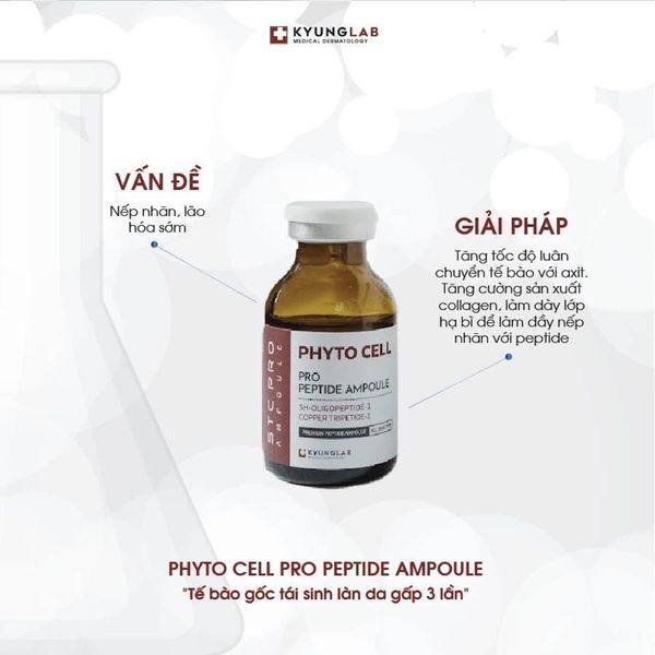 TẾ BÀO GỐC KYUNGLAB PHYTO CELL PEPTIDE AMPOULE 20ML