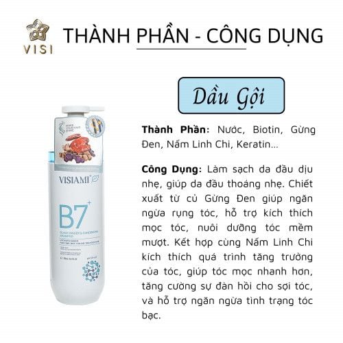 DẦU GỘI XẢ B7 VISIAMI