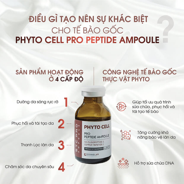 TẾ BÀO GỐC KYUNGLAB PHYTO CELL PEPTIDE AMPOULE 20ML