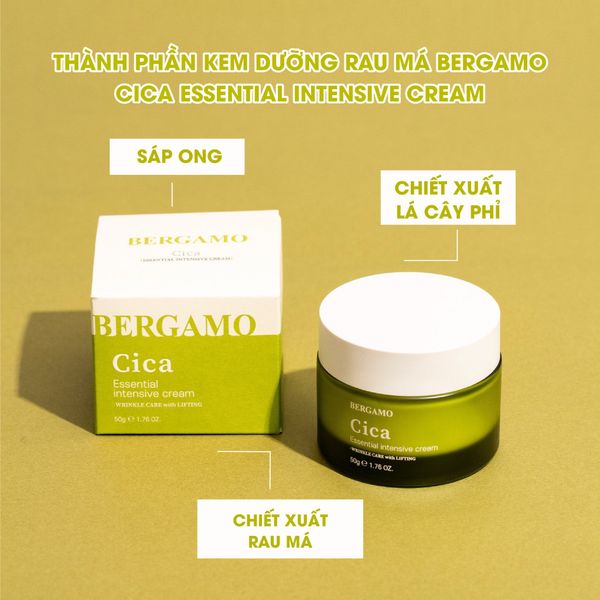 KEM DƯỠNG BERGAMO ESSENTIAL INTENSIVE CREAM 50G