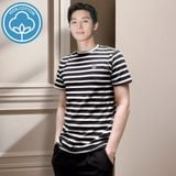  Áo Thun Kẻ 100% Cotton Cao cấp - Màu 7 