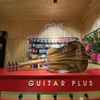  Guitar Plus F0 Performer D 